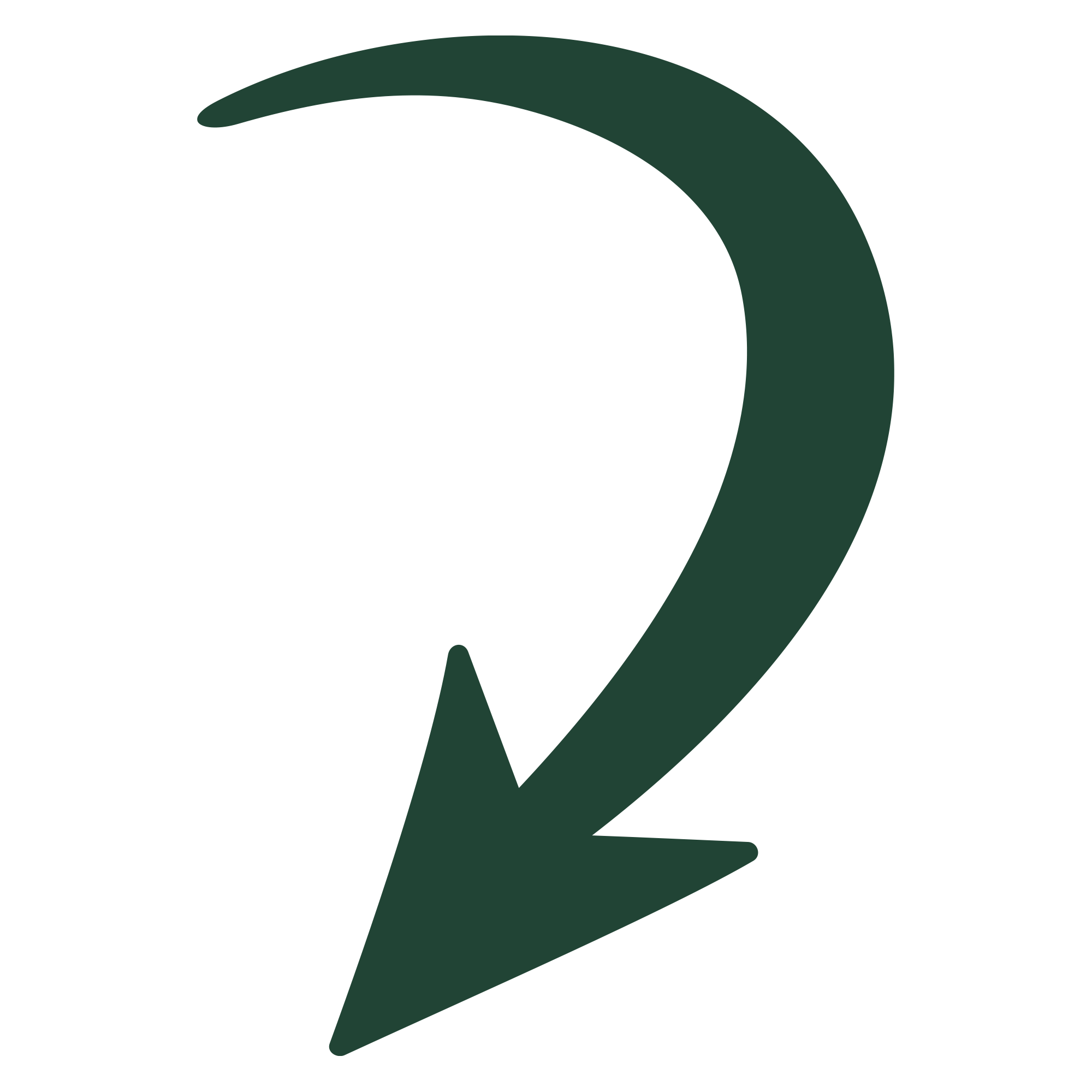 seta